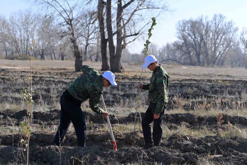 Таза Қазақстан: Ерікті жастардың елеулі еңбегі
