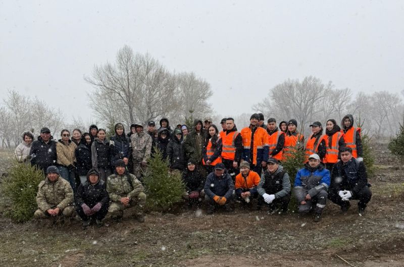 Семейлік теміржолшылар Бейбітшілік аралын көгалдандыруға үлес қосты