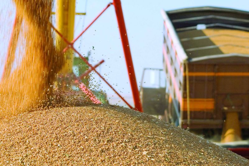 КТЖ взяло транспортировку зерна нового урожая на особый контроль