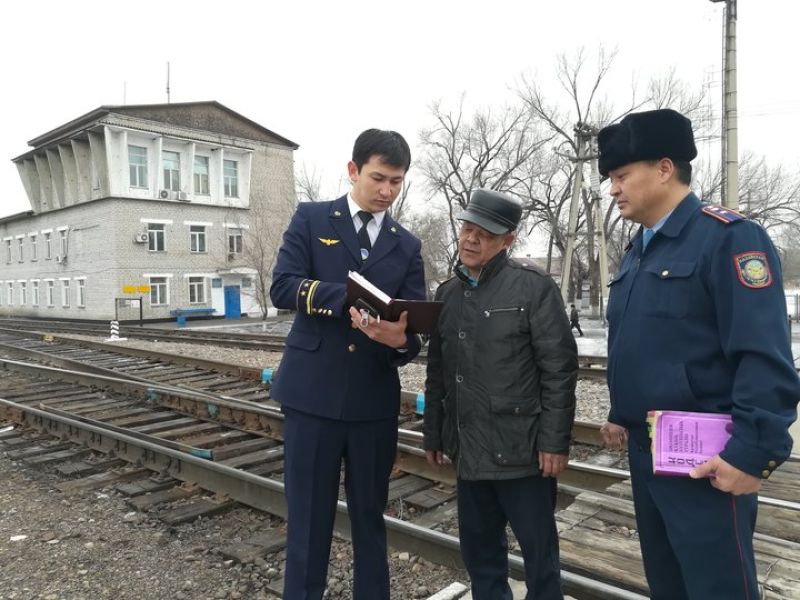 Тараз теміржолшылары: Қараусыз қалған үй жануарларынан пойыздар қозғалысына кедергі көп