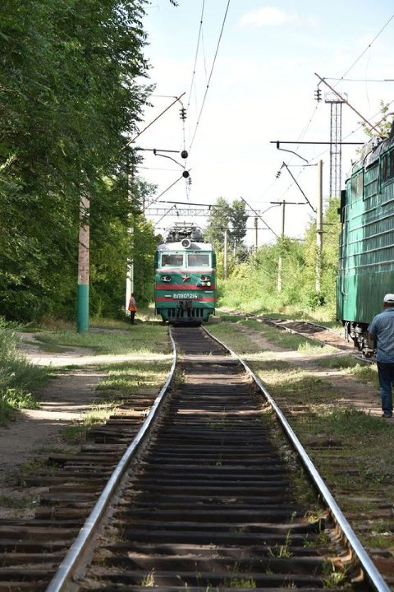 Шымкентте қозғалыс қауіпсіздігіне қатысты 7 жағдай тіркелген