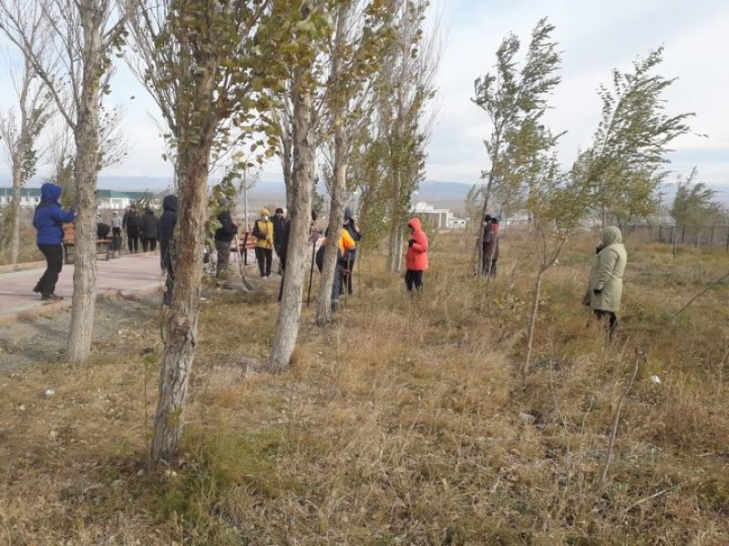 1000 новых деревьев высадили в Парка железнодорожников