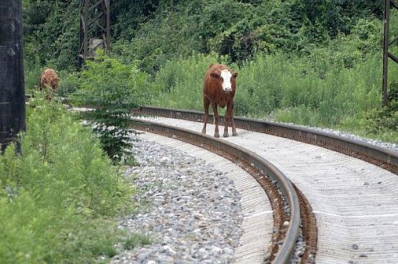 Қумажолдардағы келеңсіздік