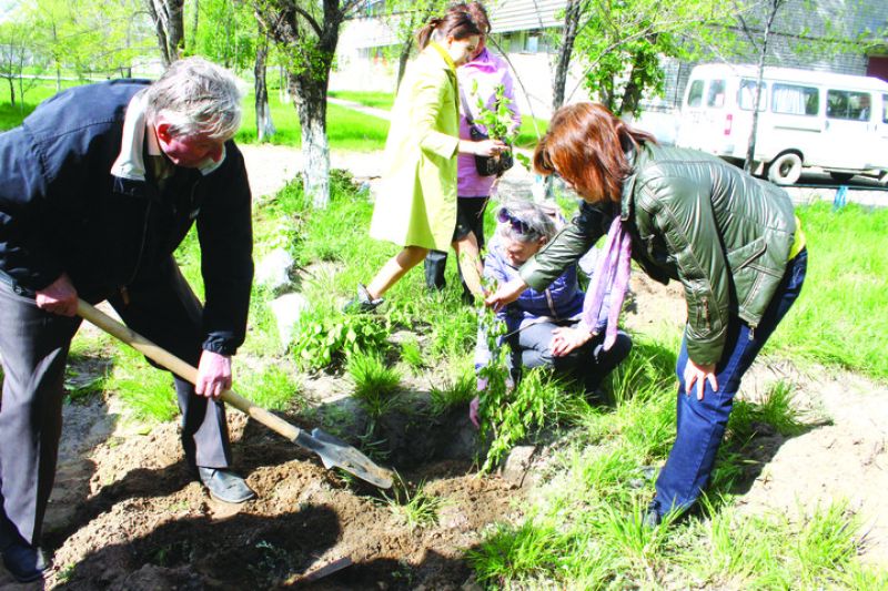 Тал еккеннің сауабы мол