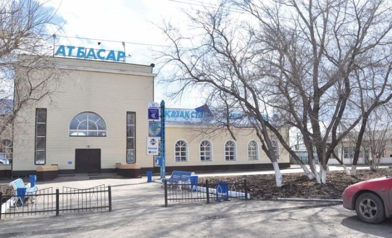 Приютили