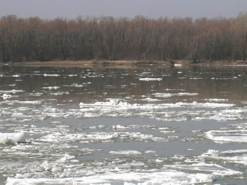 Помогли в беде