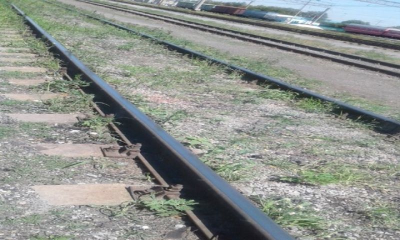 Борьба с травой на железнодорожных путях началась в Костанайском регионе