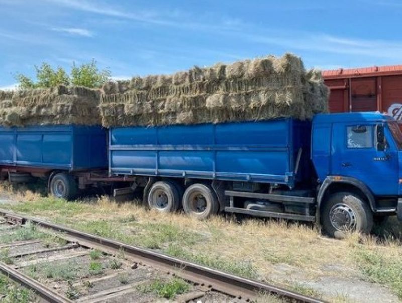 ҚТЖ Батыс өңірлерге жем-шөп тасымалдауды тамыздың соңына дейін ұзартты
