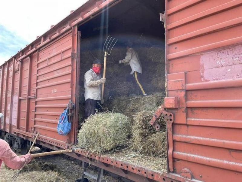 177 вагонов с сеном доставил ҚТЖ в западные регионы страны