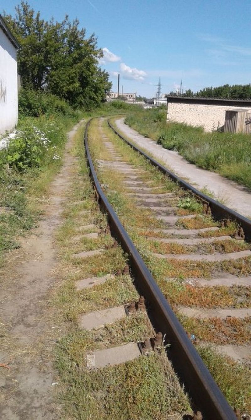 26 км новой скотоизгороди появится в Костанайском регионе к концу лета
